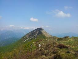 Gabrovec (Gabruc) (2)