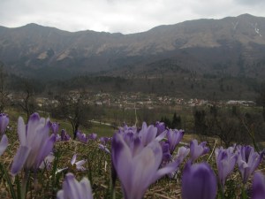 Pomlad se počasi prebuja! 15.03.2015 Slika Breginj v ozadju pogorje Stola (3)