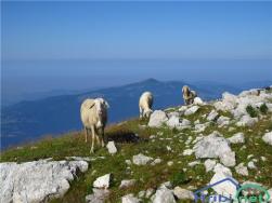 0254494975497_IMG_9515