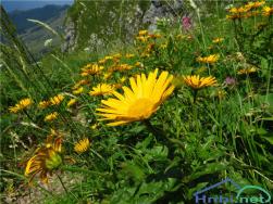 0510494978513_IMG_9757