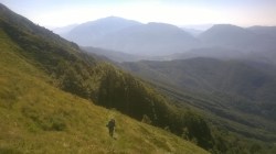 WP_20150829_10_52_41_Pro