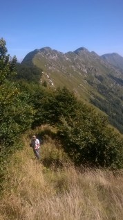 WP_20150829_13_50_26_Pro