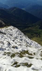 11947408_415850528604404_4329639757686949877_n