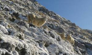 11960178_415850868604370_1441755452156589879_n