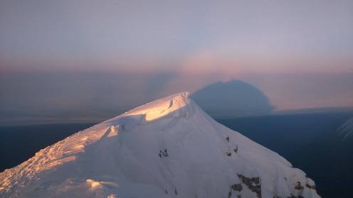 Krn in njegova senca 